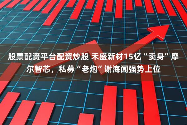 股票配资平台配资炒股 禾盛新材15亿“卖身”摩尔智芯，私募“老炮”谢海闻强势上位