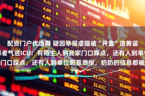 配资门户优选网 疑因举报虐猫被“开盒”造黄谣，上海动物保护女志愿者气进ICU：有陌生人到我家门口踩点，还有人到单位恶意举报，奶奶的信息都被泄露